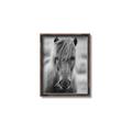 Picture of Icelandic horse in black and white _GroupedProduct_Rectangle_Portrait_Photography _GroupedProduct_Rectangle_Portrait_Canvas_Framed_