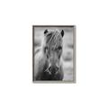 Picture of Icelandic horse in black and white _GroupedProduct_Rectangle_Portrait_Photography _GroupedProduct_Rectangle_Portrait_Canvas_Framed_