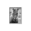 Picture of Icelandic horse in black and white _GroupedProduct_Rectangle_Portrait_Photography _GroupedProduct_Rectangle_Portrait_Canvas_Framed_