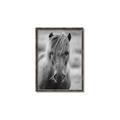 Picture of Icelandic horse in black and white _GroupedProduct_Rectangle_Portrait_Photography _GroupedProduct_Rectangle_Portrait_Canvas_Framed_