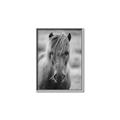 Picture of Icelandic horse in black and white _GroupedProduct_Rectangle_Portrait_Photography _GroupedProduct_Rectangle_Portrait_Canvas_Framed_