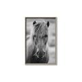Picture of Icelandic horse in black and white _GroupedProduct_Rectangle_Portrait_Photography _GroupedProduct_Rectangle_Portrait_Canvas_Framed_