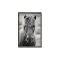 Picture of Icelandic horse in black and white _GroupedProduct_Rectangle_Portrait_Photography _GroupedProduct_Rectangle_Portrait_Canvas_Framed_