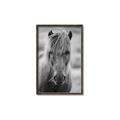 Picture of Icelandic horse in black and white _GroupedProduct_Rectangle_Portrait_Photography _GroupedProduct_Rectangle_Portrait_Canvas_Framed_