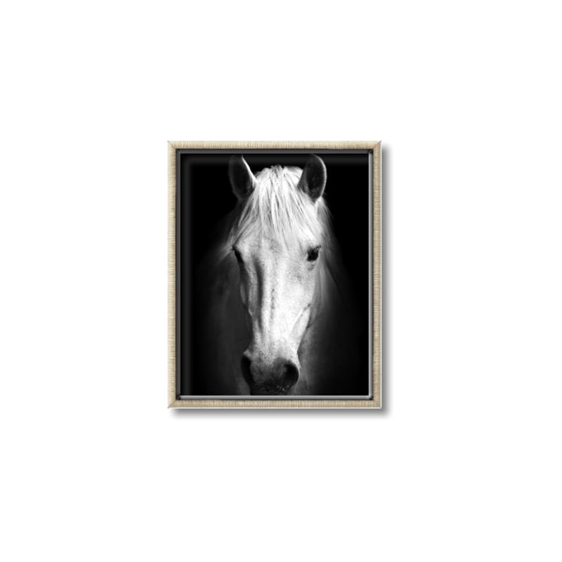 Picture of Friend in Deed _GroupedProduct_Rectangle_Portrait_Photography _GroupedProduct_Rectangle_Portrait_Canvas_Framed_