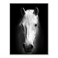 Picture of Friend in Deed _GroupedProduct_Rectangle_Portrait_Photography _GroupedProduct_Rectangle_Portrait_Canvas_Framed_