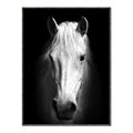 Picture of Friend in Deed _GroupedProduct_Rectangle_Portrait_Photography _GroupedProduct_Rectangle_Portrait_Canvas_Framed_