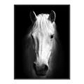 Picture of Friend in Deed _GroupedProduct_Rectangle_Portrait_Photography _GroupedProduct_Rectangle_Portrait_Canvas_Framed_