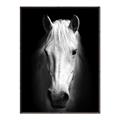 Picture of Friend in Deed _GroupedProduct_Rectangle_Portrait_Photography _GroupedProduct_Rectangle_Portrait_Canvas_Framed_