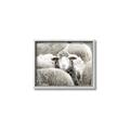 Picture of Sheepish _GroupedProduct_Rectangle_Landscape_Photography _GroupedProduct_Rectangle_Landscape_Canvas_Framed_