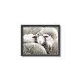 Picture of Sheepish _GroupedProduct_Rectangle_Landscape_Photography _GroupedProduct_Rectangle_Landscape_Canvas_Framed_