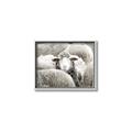 Picture of Sheepish _GroupedProduct_Rectangle_Landscape_Photography _GroupedProduct_Rectangle_Landscape_Canvas_Framed_