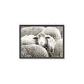 Picture of Sheepish _GroupedProduct_Rectangle_Landscape_Photography _GroupedProduct_Rectangle_Landscape_Canvas_Framed_