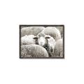 Picture of Sheepish _GroupedProduct_Rectangle_Landscape_Photography _GroupedProduct_Rectangle_Landscape_Canvas_Framed_
