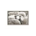 Picture of Sheepish _GroupedProduct_Rectangle_Landscape_Photography _GroupedProduct_Rectangle_Landscape_Canvas_Framed_