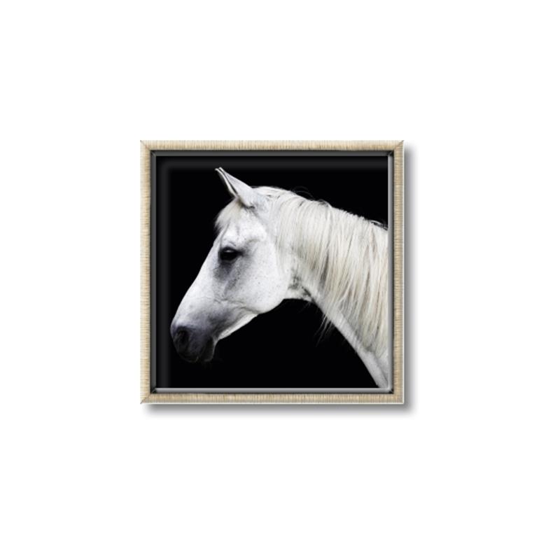 Picture of Side Profile _GroupedProduct_Square_Photography _GroupedProduct_Square_Canvas_Framed_