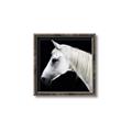 Picture of Side Profile _GroupedProduct_Square_Photography _GroupedProduct_Square_Canvas_Framed_