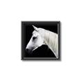 Picture of Side Profile _GroupedProduct_Square_Photography _GroupedProduct_Square_Canvas_Framed_