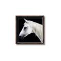 Picture of Side Profile _GroupedProduct_Square_Photography _GroupedProduct_Square_Canvas_Framed_