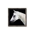 Picture of Side Profile _GroupedProduct_Square_Photography _GroupedProduct_Square_Canvas_Framed_