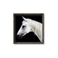 Picture of Side Profile _GroupedProduct_Square_Photography _GroupedProduct_Square_Canvas_Framed_