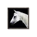 Picture of Side Profile _GroupedProduct_Square_Photography _GroupedProduct_Square_Canvas_Framed_