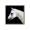 Picture of Side Profile _GroupedProduct_Square_Photography _GroupedProduct_Square_Canvas_Framed_