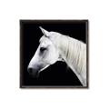 Picture of Side Profile _GroupedProduct_Square_Photography _GroupedProduct_Square_Canvas_Framed_