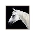 Picture of Side Profile _GroupedProduct_Square_Photography _GroupedProduct_Square_Canvas_Framed_