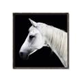 Picture of Side Profile _GroupedProduct_Square_Photography _GroupedProduct_Square_Canvas_Framed_