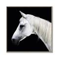 Picture of Side Profile _GroupedProduct_Square_Photography _GroupedProduct_Square_Canvas_Framed_