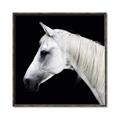 Picture of Side Profile _GroupedProduct_Square_Photography _GroupedProduct_Square_Canvas_Framed_
