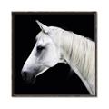 Picture of Side Profile _GroupedProduct_Square_Photography _GroupedProduct_Square_Canvas_Framed_