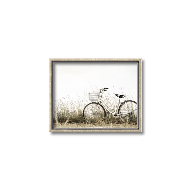 Picture of Leaning Bike  _GroupedProduct_Rectangle_Landscape_Photography _GroupedProduct_Rectangle_Landscape_Canvas_Framed_