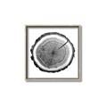 Picture of Log Slice I _GroupedProduct_Square_Photography _GroupedProduct_Square_Canvas_Framed_
