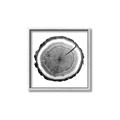 Picture of Log Slice I _GroupedProduct_Square_Photography _GroupedProduct_Square_Canvas_Framed_