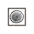 Picture of Log Slice I _GroupedProduct_Square_Photography _GroupedProduct_Square_Canvas_Framed_