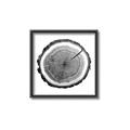 Picture of Log Slice I _GroupedProduct_Square_Photography _GroupedProduct_Square_Canvas_Framed_