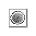 Picture of Log Slice I _GroupedProduct_Square_Photography _GroupedProduct_Square_Canvas_Framed_