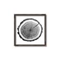 Picture of Log Slice I _GroupedProduct_Square_Photography _GroupedProduct_Square_Canvas_Framed_