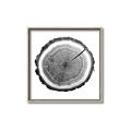 Picture of Log Slice I _GroupedProduct_Square_Photography _GroupedProduct_Square_Canvas_Framed_
