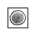 Picture of Log Slice I _GroupedProduct_Square_Photography _GroupedProduct_Square_Canvas_Framed_