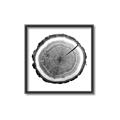 Picture of Log Slice I _GroupedProduct_Square_Photography _GroupedProduct_Square_Canvas_Framed_