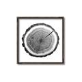 Picture of Log Slice I _GroupedProduct_Square_Photography _GroupedProduct_Square_Canvas_Framed_