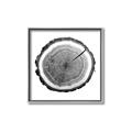 Picture of Log Slice I _GroupedProduct_Square_Photography _GroupedProduct_Square_Canvas_Framed_