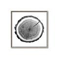 Picture of Log Slice I _GroupedProduct_Square_Photography _GroupedProduct_Square_Canvas_Framed_