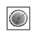 Picture of Log Slice I _GroupedProduct_Square_Photography _GroupedProduct_Square_Canvas_Framed_