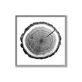 Picture of Log Slice I _GroupedProduct_Square_Photography _GroupedProduct_Square_Canvas_Framed_
