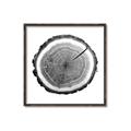 Picture of Log Slice I _GroupedProduct_Square_Photography _GroupedProduct_Square_Canvas_Framed_