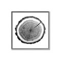 Picture of Log Slice I _GroupedProduct_Square_Photography _GroupedProduct_Square_Canvas_Framed_